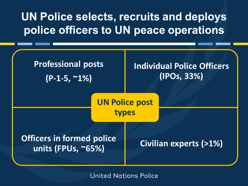 Post types of United Nations police officers. 